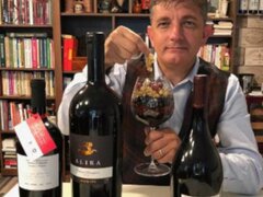 Winetaste School Sergiu Nedelea - Curs de Somelier